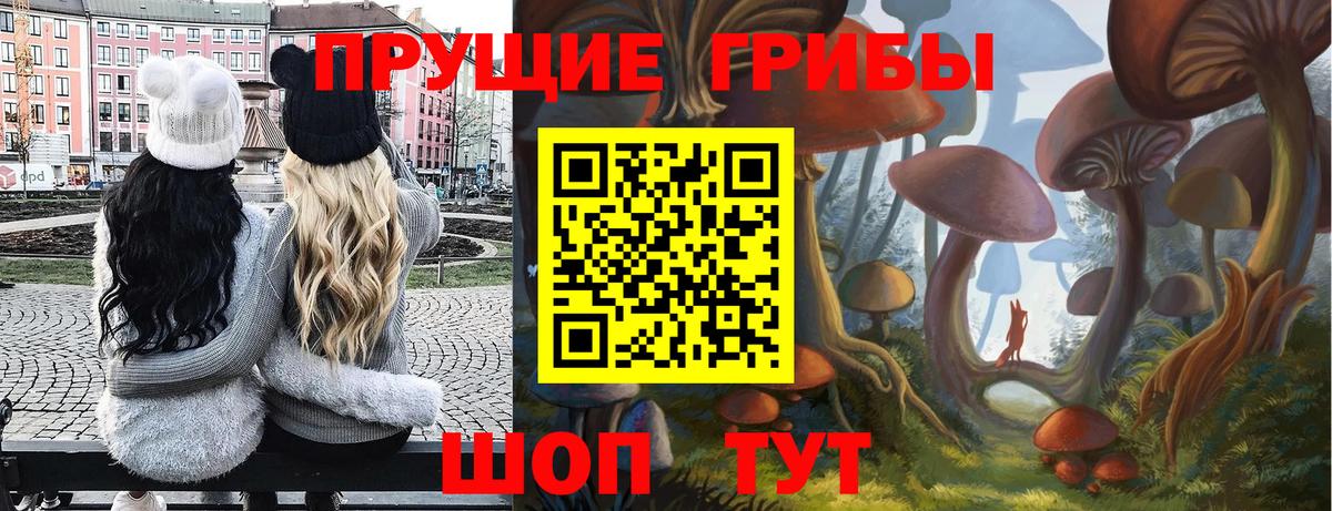 Псилоцибиновые грибы Cubensis  Вход с VPN  Мыски 
