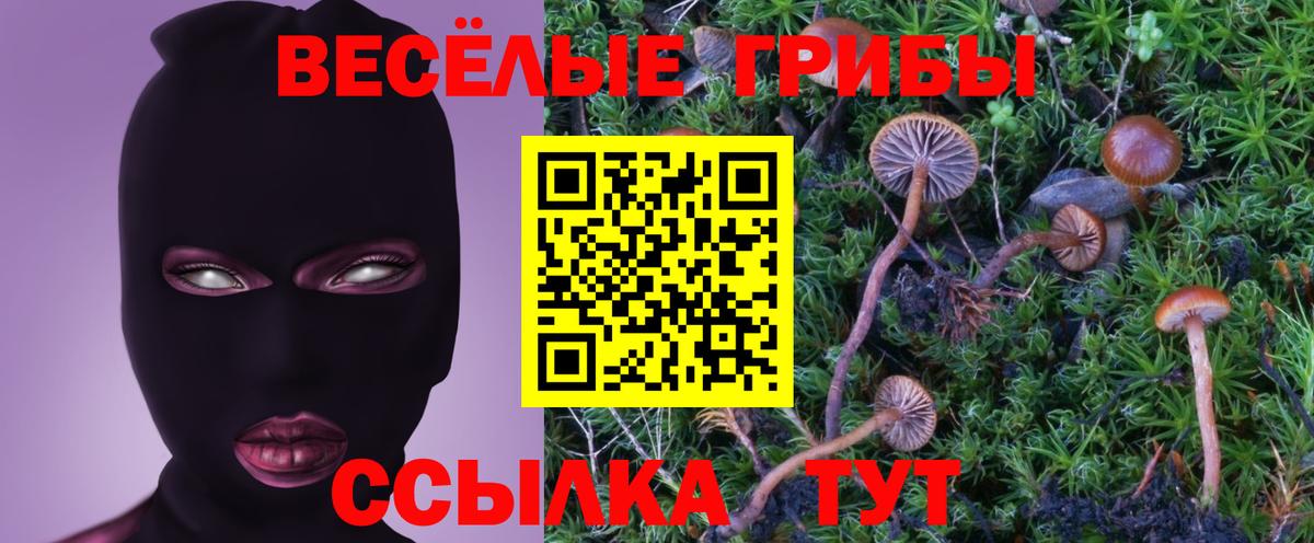 Псилоцибиновые грибы прущие грибы Мыски